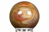 Colorful Petrified Wood (Araucaria) Sphere - Madagascar #323599-1